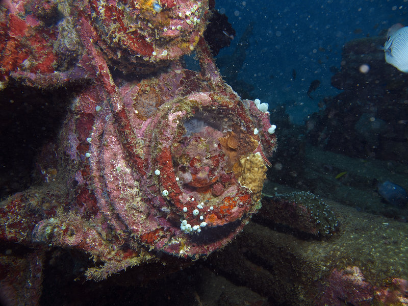 Wreck, Sabang Wreck